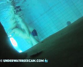 VIDEO OF THE DAY! Rabbits underwater