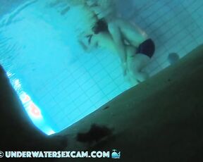 VIDEO OF THE DAY! Rabbits underwater