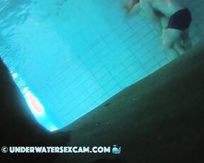 VIDEO OF THE DAY! Rabbits underwater