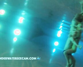 VIDEO OF THE DAY! Rabbits underwater