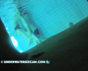 VIDEO OF THE DAY! Rabbits underwater