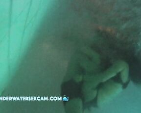 VIDEO OF THE DAY! A couple of waterfall rabbits have rough sex underwater