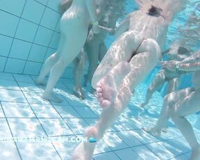 A bunch of ladies celebrate naked in the water