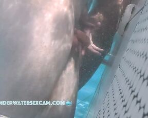 NEW! If you do that with my prick, he'll get hard and big right away and we can fuck!