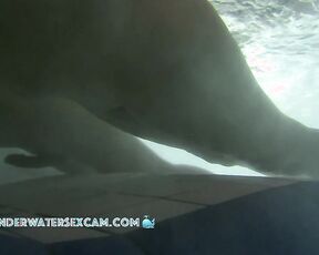 NEW! What could be better than masturbating together with the underwater jets?