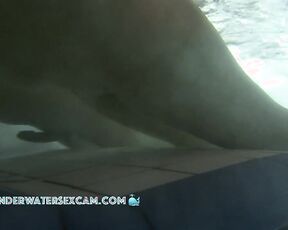 NEW! What could be better than masturbating together with the underwater jets?