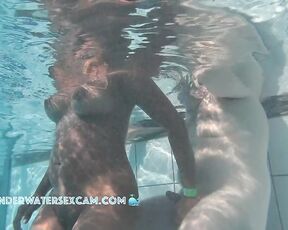 NEW! Although the Indian teen is shy, she reaches for his cock and I would want to fuck her immediately.