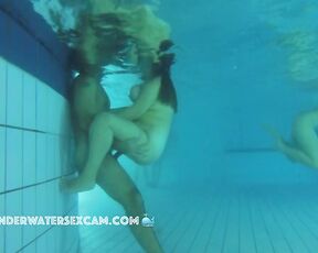 NEW! Whether they are models or BBWs, they have a pussy, they can be fucked, and we should try it.