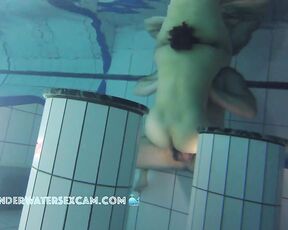 NEW! He found this Asian girl and now he wants to fuck her because she has a small, tight, hairy pussy.