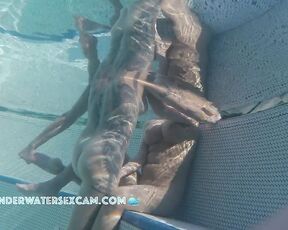 NEW! UNBELIEVABLE: A hot Arab girl gets up close to a lesbian couple playing around to fuck her boyfriend.