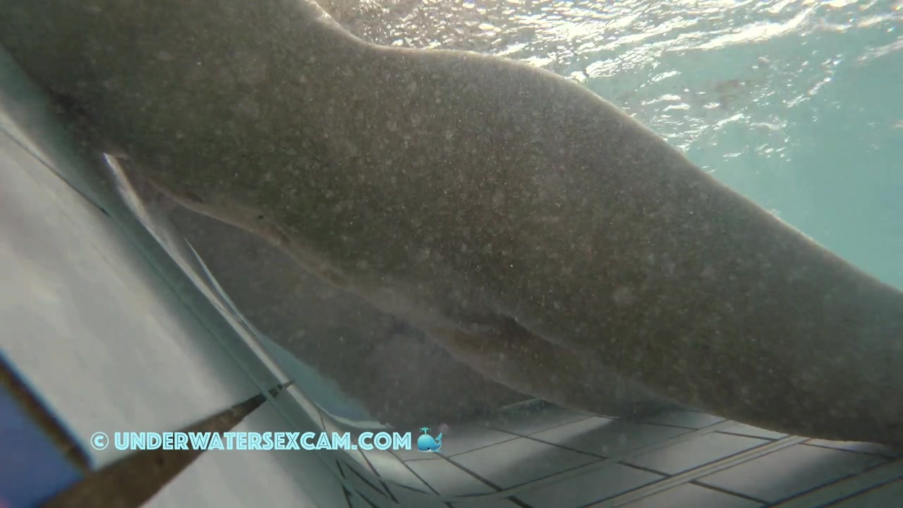 NEW! This horny young girlfriend of the old white man knows exactly what she's doing and knows that I'm watching her.