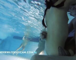 NEW! You can clearly see from his tail that he's in love with her, but now he has to really go for it.