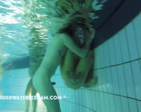 NEW! You can clearly see from his tail that he's in love with her, but now he has to really go for it.