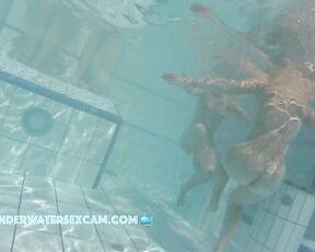 NEW! I'm not sure why she's fidgeting so much and running back and forth. Maybe she's just horny?