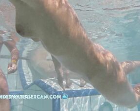 NEW! I'm not sure why she's fidgeting so much and running back and forth. Maybe she's just horny?