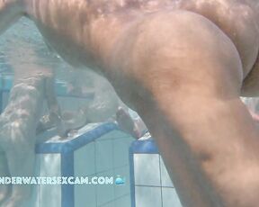 NEW! I'm not sure why she's fidgeting so much and running back and forth. Maybe she's just horny?