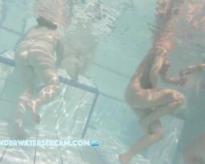 NEW! I'm not sure why she's fidgeting so much and running back and forth. Maybe she's just horny?