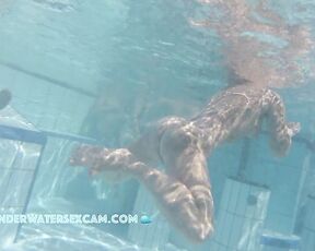 NEW! I'm not sure why she's fidgeting so much and running back and forth. Maybe she's just horny?