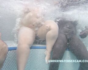 NEW! They didn't know each other, but they came here to have sex! BBC meets BBW for fingering and a handjob ;-)