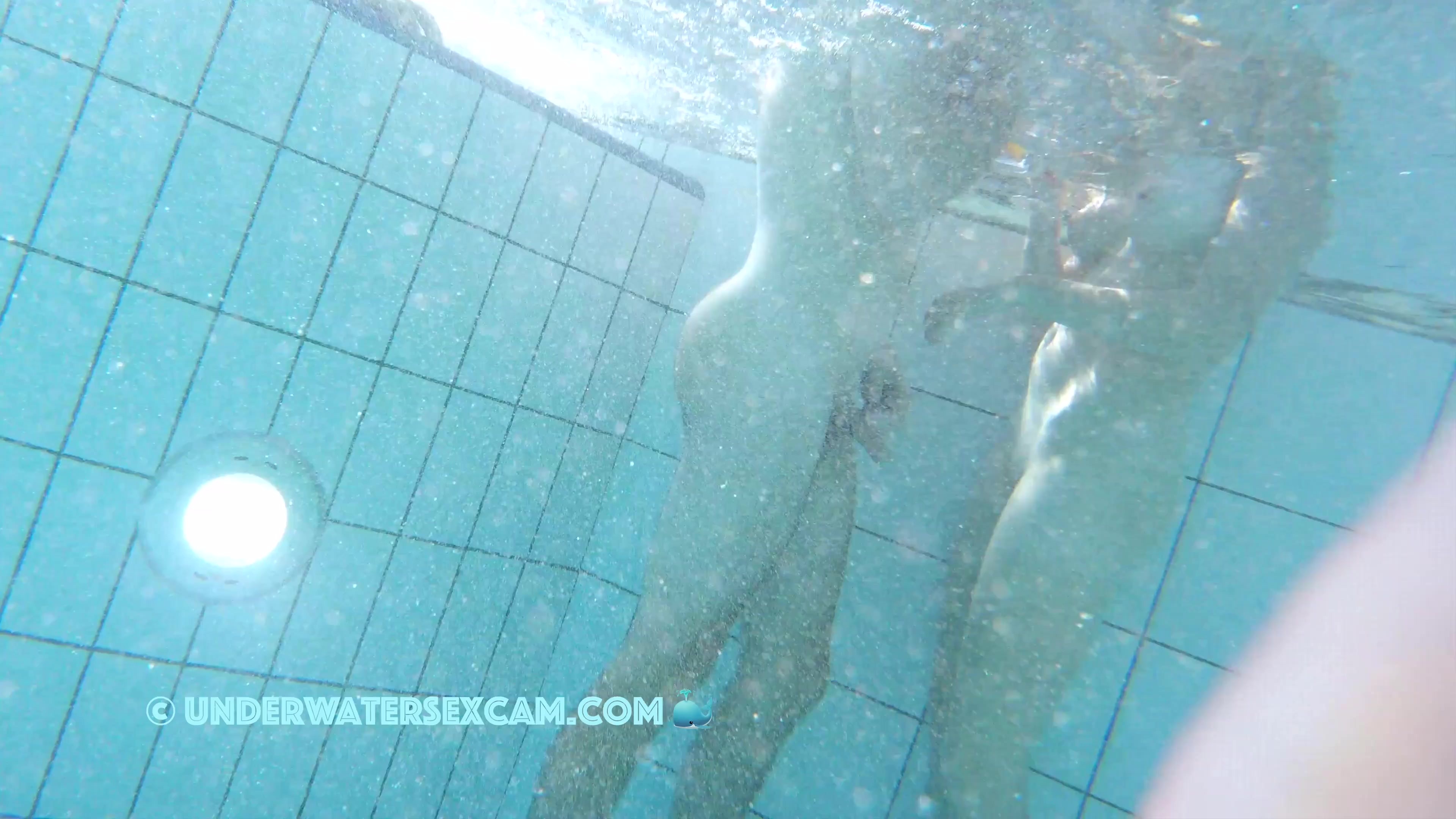 NEW! Those two would definitely love to be alone in the pool right now and really go at it, but they're shy.